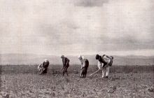 De ce țăranii români și-au dorit mereu pământ?