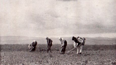 Ce sfaturi dădeau bătrânii români, pe vremuri, tinerilor?