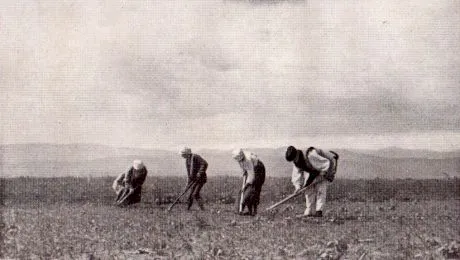 De ce țăranii români și-au dorit mereu pământ?