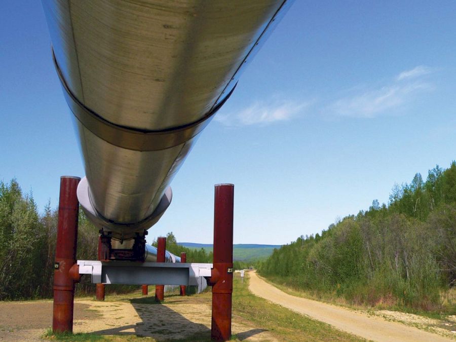 view-portion-Alaska-Trans-Alaska-Pipeline