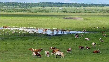 E adevărat că există un oraș CU O SUPRAFAȚĂ mai mare decât România?