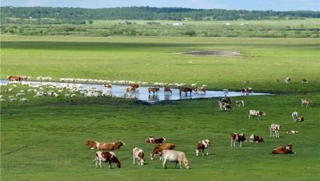 E adevărat că există un oraș CU O SUPRAFAȚĂ mai mare decât România?