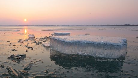 Cum arată iarna Delta Dunării? Ce poți face iarna în Deltă?