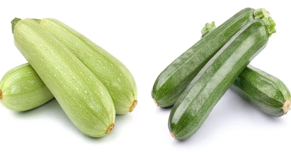 Care este diferența dintre dovlecel şi zucchini?
