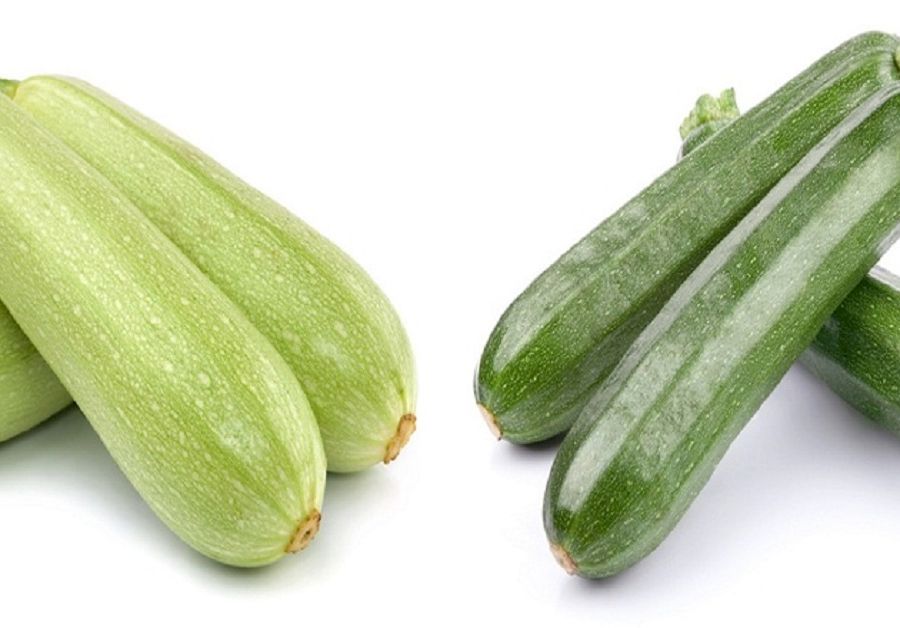 zucchini-si-dovlecel
