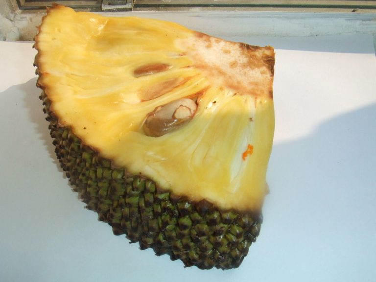 Fruct Care Incepe Cu E Este adev?rat c? cel mai mare fruct din lume poate atinge 45 kg?