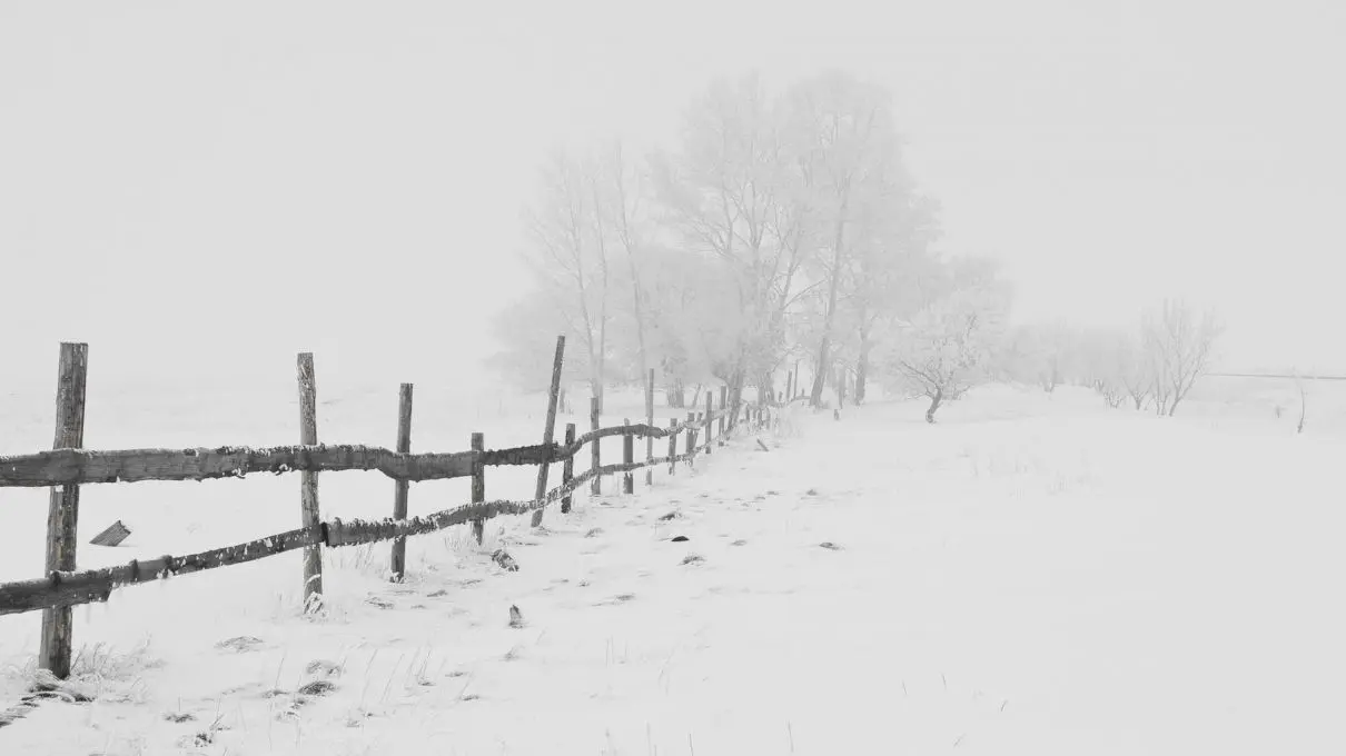 Care a fost cea mai grea iarnă din istoria Bucureștiului? Care e povestea „iernii lui Hangerliu”?
