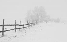 Care a fost cea mai grea iarnă din istoria Bucureștiului? Care e povestea „iernii lui Hangerliu”?