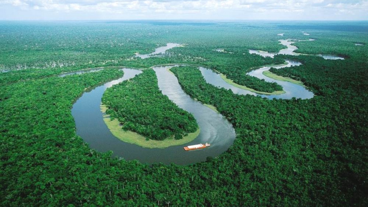 county Cooperative pregnant Câți afluenți are Amazonul, râul cu cei mai mulți din lume?