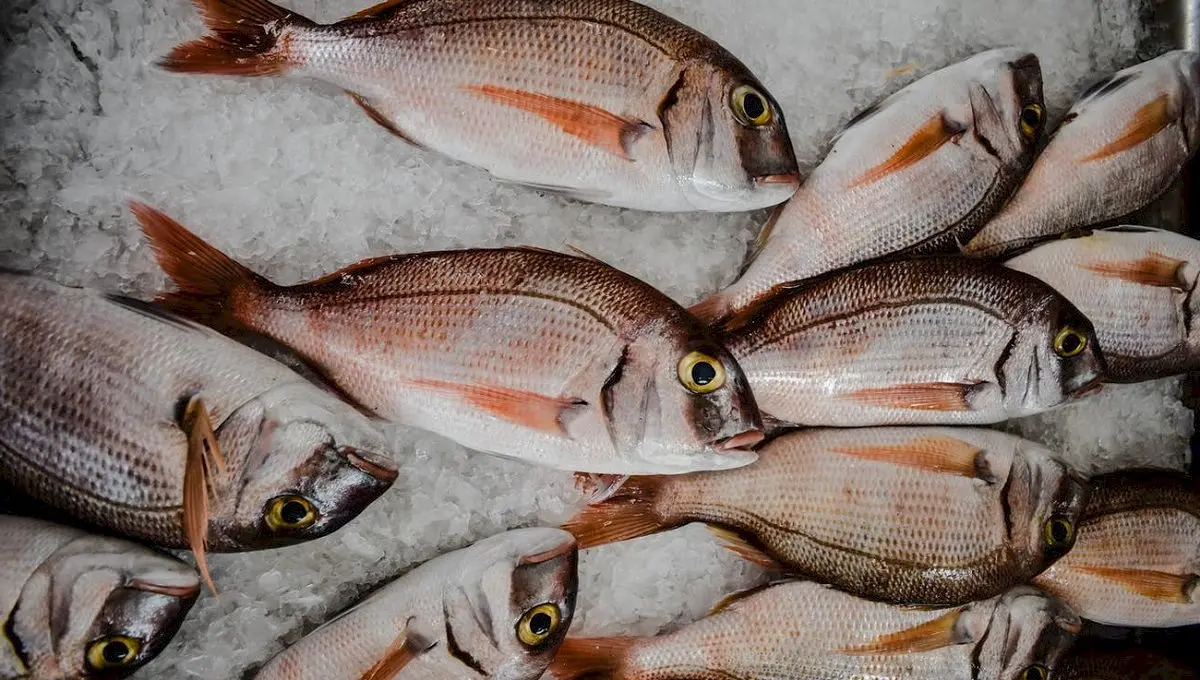 Cum îți dai seama dacă peștele este proaspăt? Detalii importante și utile