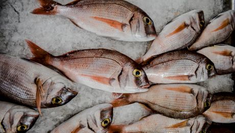 Cum îți dai seama dacă peștele este proaspăt? Detalii importante și utile