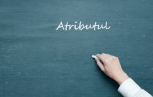 Ce este atributul? Ce determină atributul? La ce întrebări răspunde atributul?