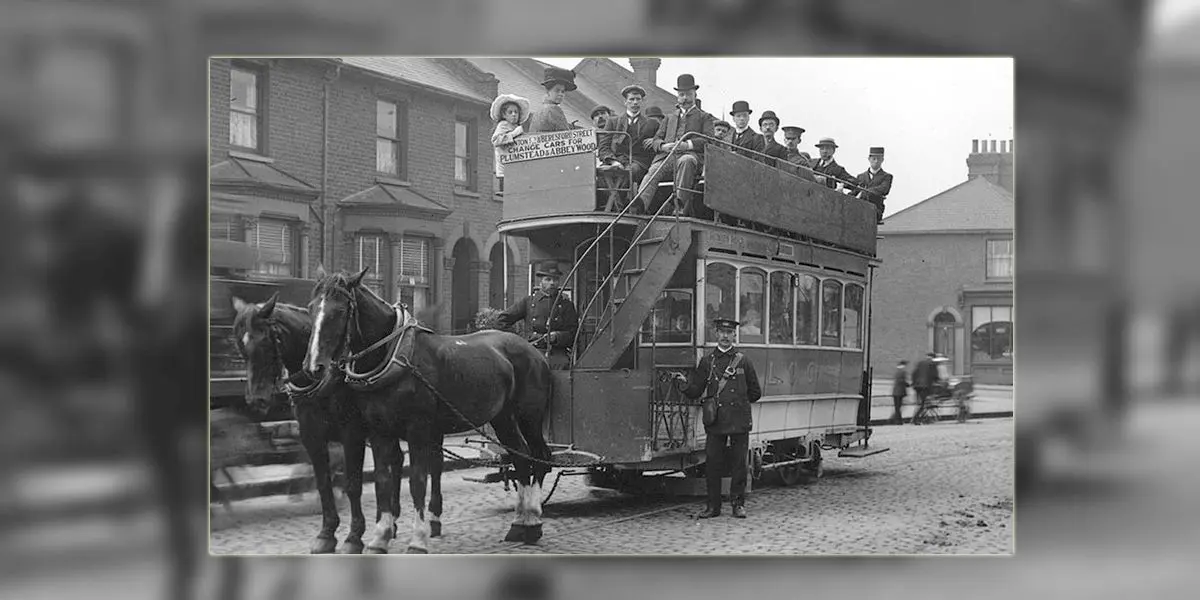 Cum se asigurau bucureștenii că animalele care trăgeau tramvaiele nu plecau după femele?