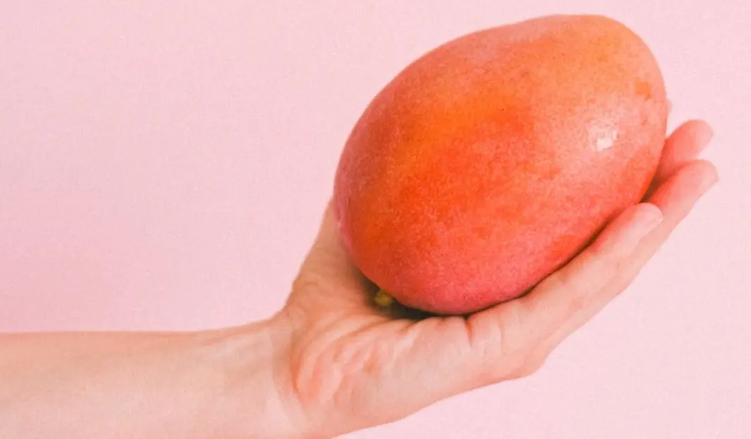 Ce este fructul mango? Cum se taie un mango și cum se poate consuma?