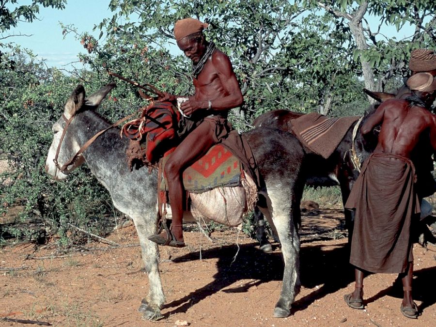 Popor Himba