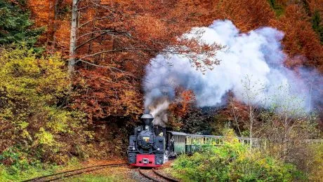 Care este cea mai frumoasă călătorie cu trenul în România?