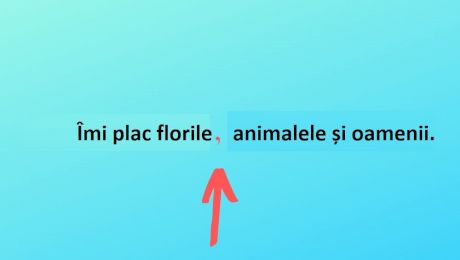 Când se pune virgula? Reguli de bază ale folosirii virgulei