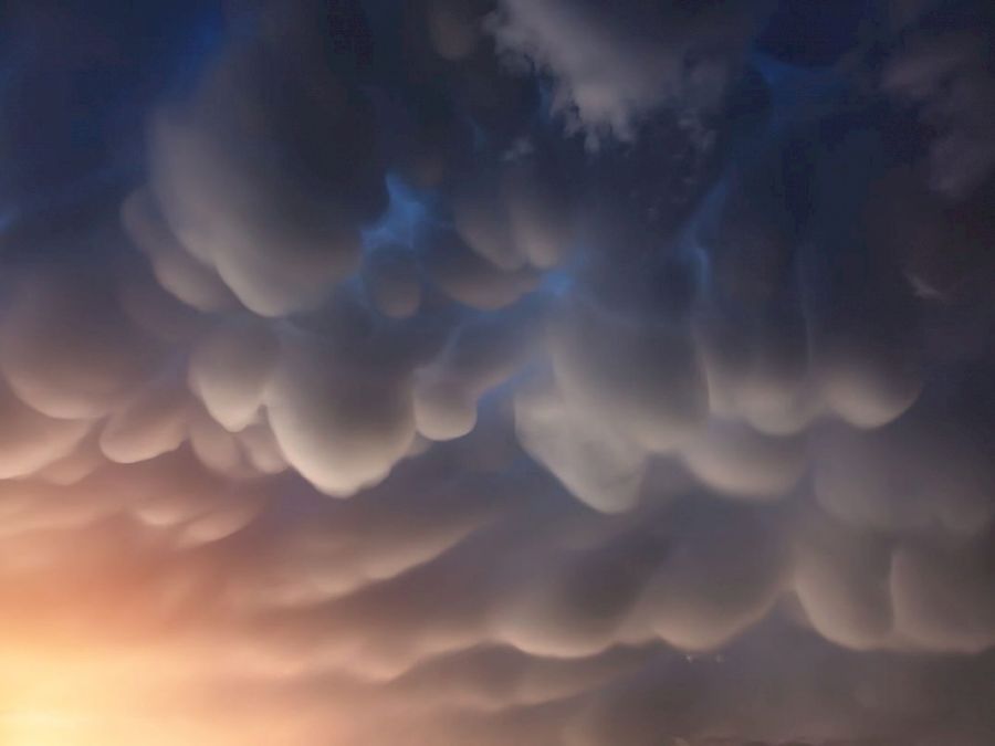 Nori Mammatus