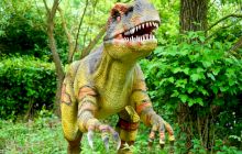 Ce specii de dinozauri au trăit pe teritoriul României de azi?