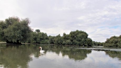 Ce a scris Jacques-Yves Cousteau despre Delta Dunării?