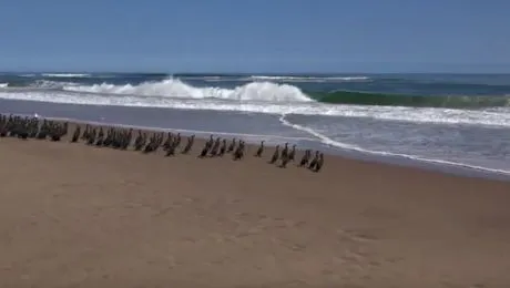 Care este locul unde oceanul întâlnește deșertul?