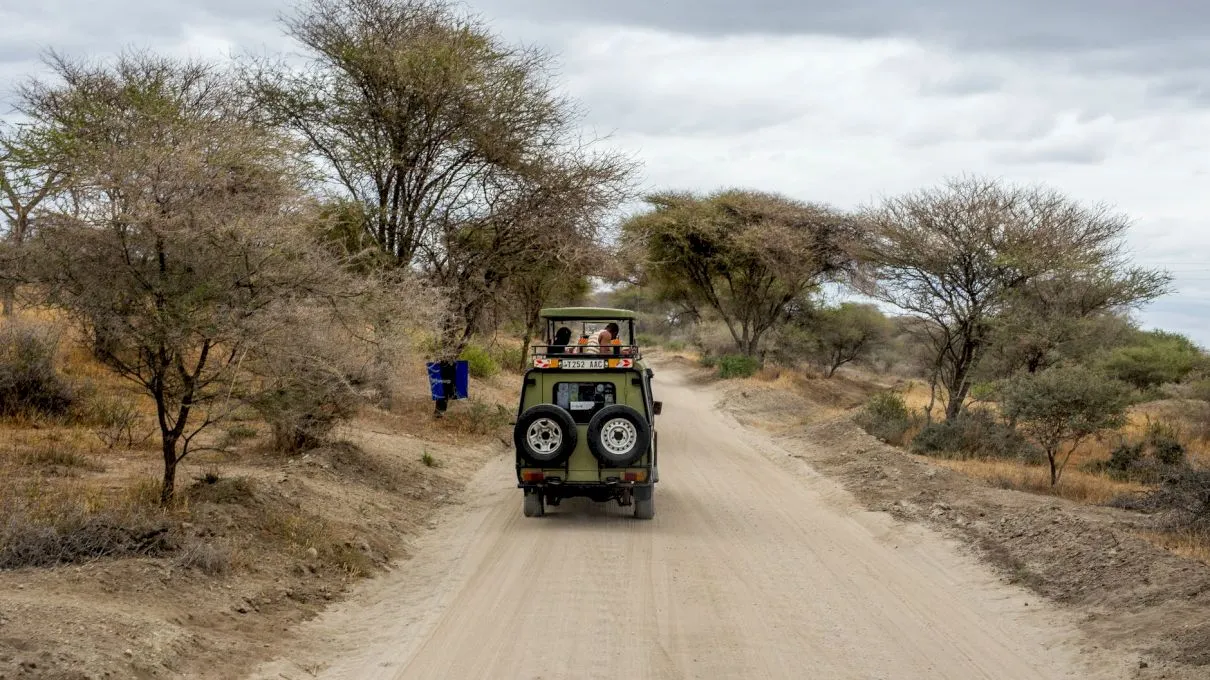 Care este cea mai mare țară din Africa?