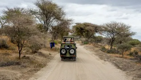 Care este cea mai mare țară din Africa?