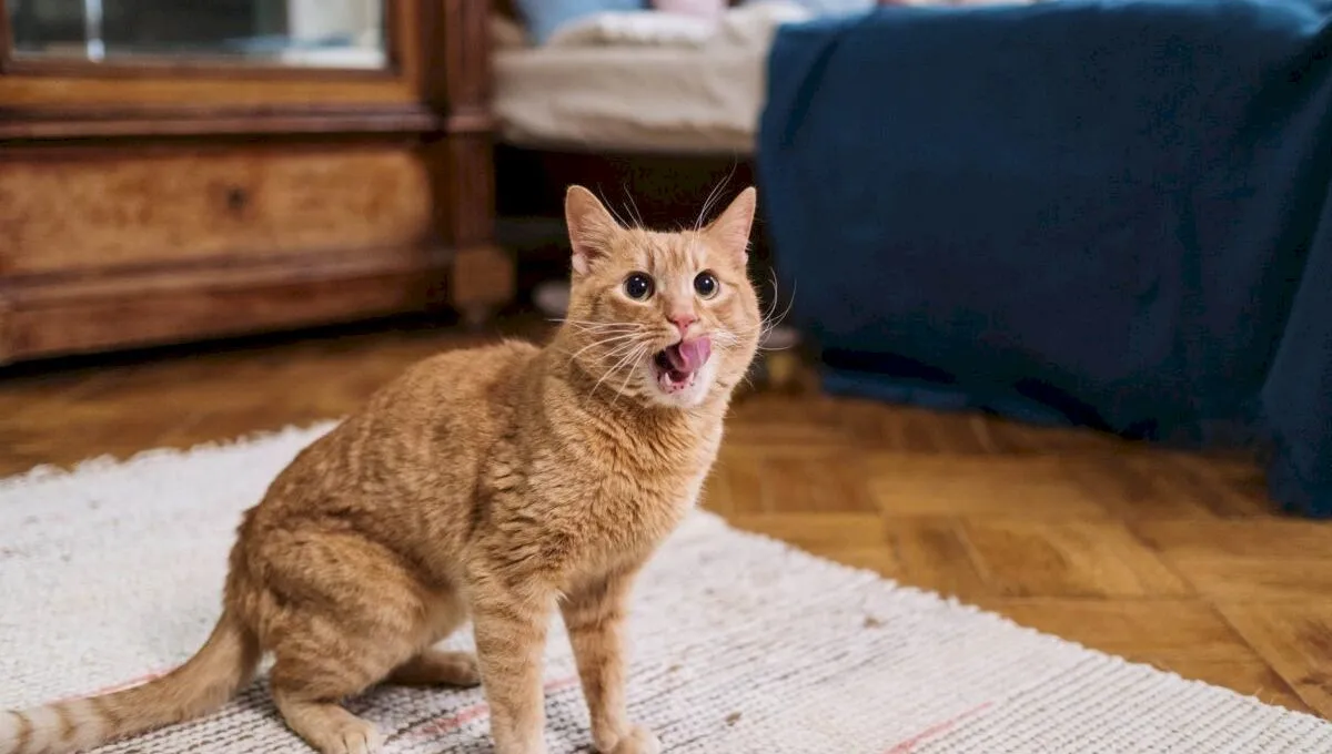 De unde vine expresia „ți-a mâncat pisica limba”?