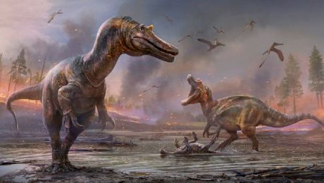 Ce animale au trăit pe Pământ înaintea dinozaurilor și trăiesc și astăzi?