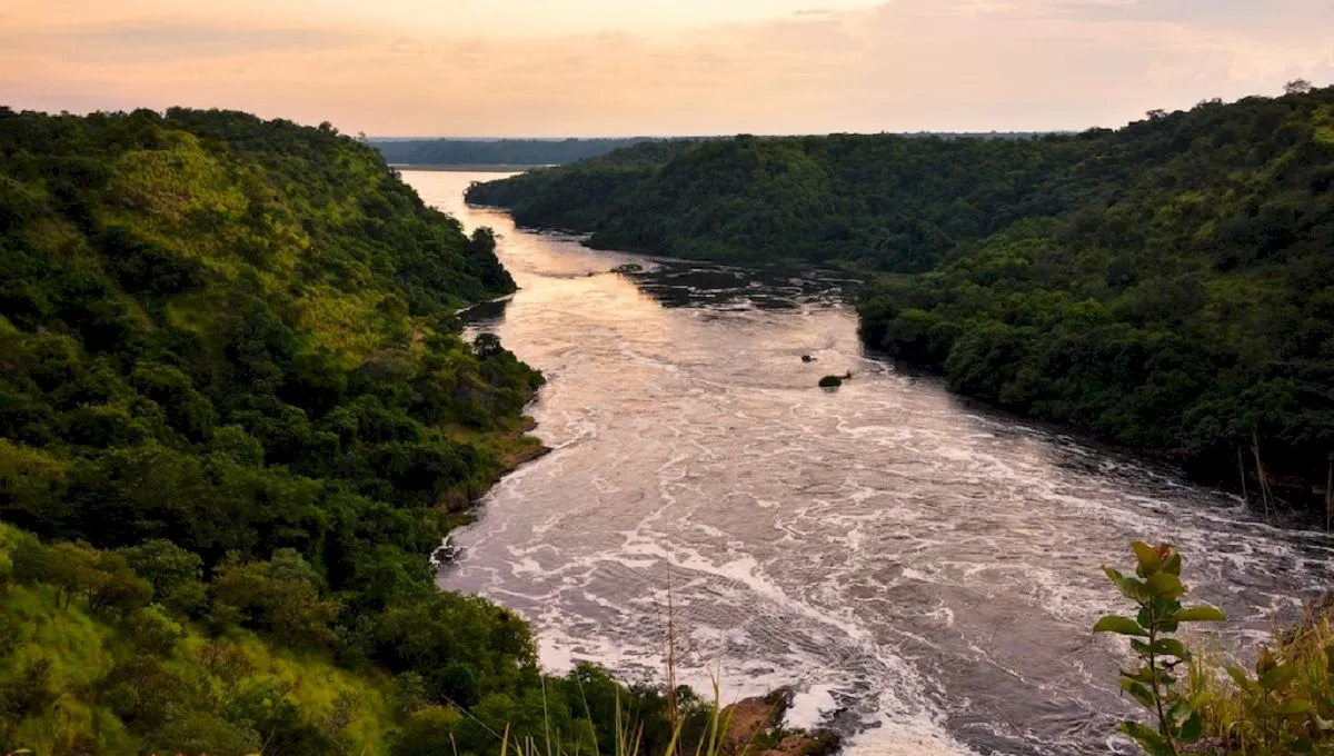 Care este fluviul care trece prin 11 țări? De ce râul nu are un singur izvor?