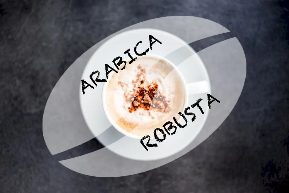 Care este diferența dintre cafeaua arabica și robusta?