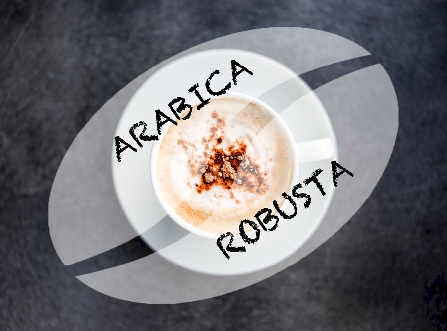 Cafeaua Arabica vs Robusta
