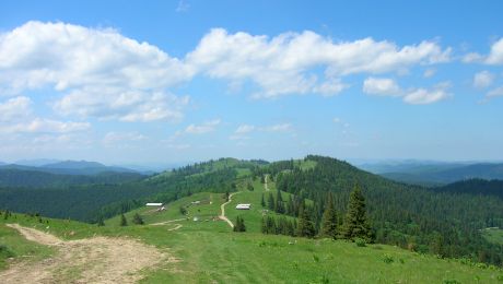 Drumul Vitoriei Lipan. Care este adevăratul drum pe care l-a parcurs Vitoria Lipan în Baltagul?