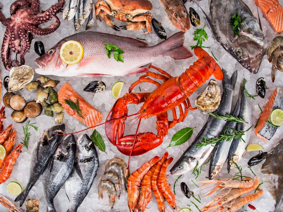 Fresh tasty seafood served on old wooden table.