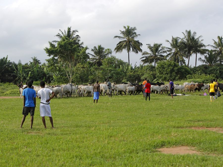 African soccer team during training