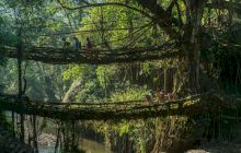Care este povestea podurilor naturale din India?