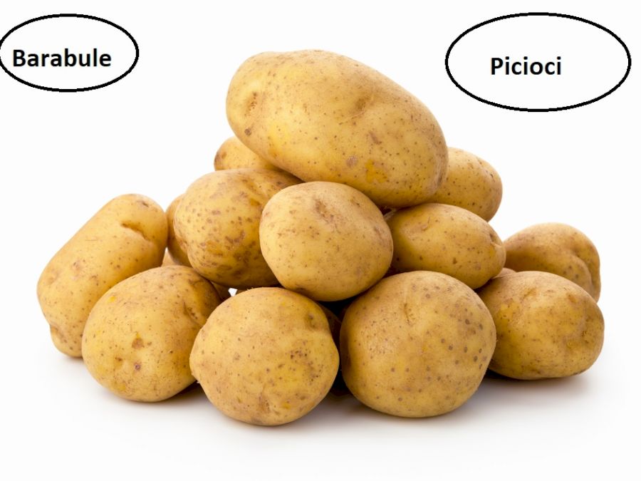 Potatoes