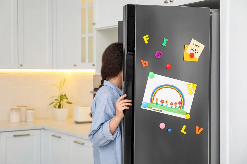 Ce se întamplă dacă ai pus magneți pe frigider?
