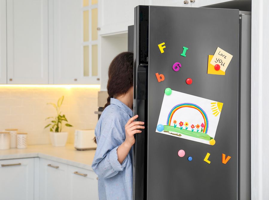 magneti pe frigider