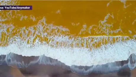 Fenomen extrem de rar. De ce Marea Neagră devine, uneori, galbenă?