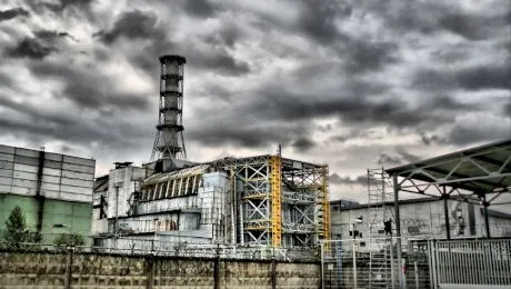 Creatura care ar fi prezis catastrofa de la Cernobîl