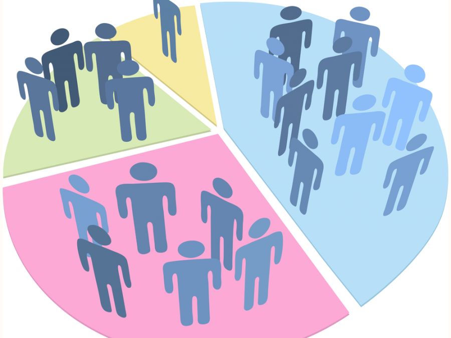 People statistics population data pie chart