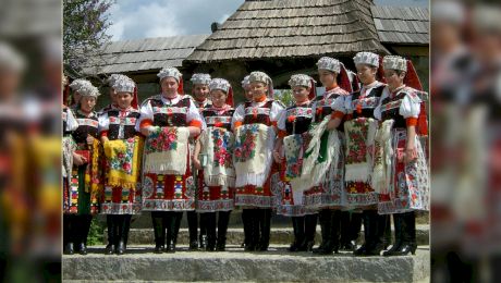 Câți unguri sunt în România?