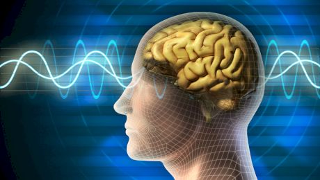 Curiozități despre creierul uman. Cum putem „vedea” prin urechi?