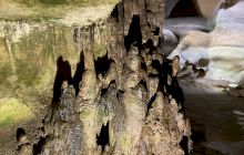 Care e diferența dintre stalactite și stalagmite?