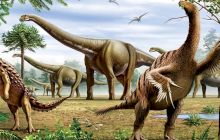 Curiozități despre dinozauri. Cât de puternică era muşcătura lui T-rex?