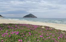 Cele mai frumoase plaje din Thassos. Aliki, Marble sau Paradise Beach