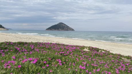 Cele mai frumoase plaje din Thassos. Aliki, Marble sau Paradise Beach