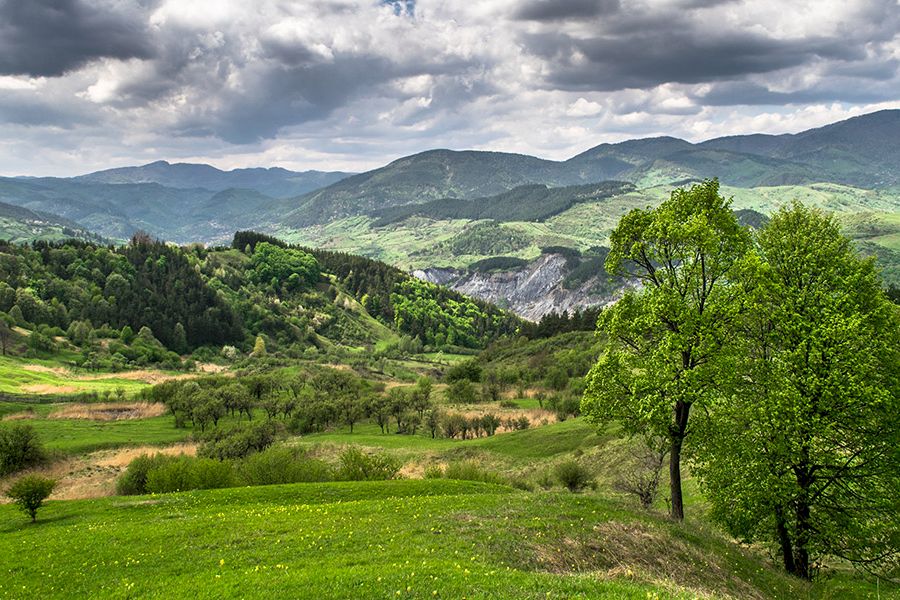 tinutul buzaului