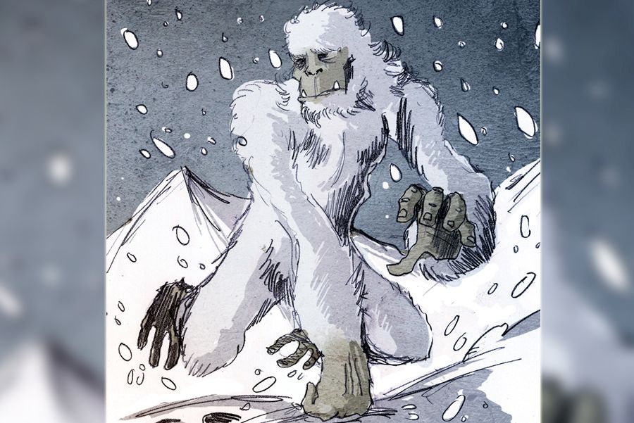 Yeti